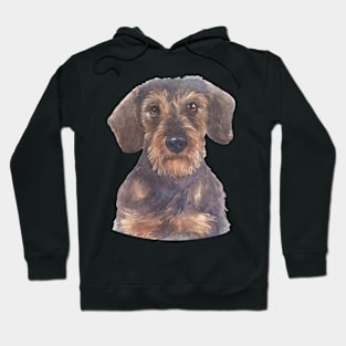 Wirehair Miniature Dachshund Watercolor Art Hoodie